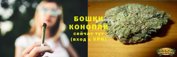 прущие грибы Беслан