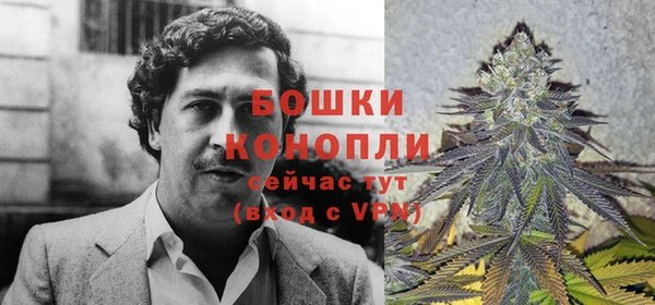 прущие грибы Беслан