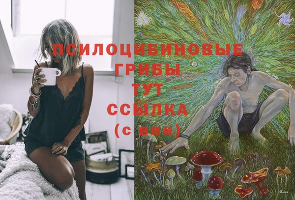 мескалин Осташков