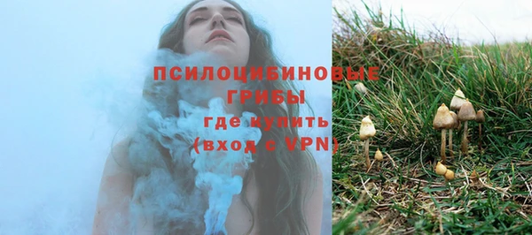 прущие крисы Осинники