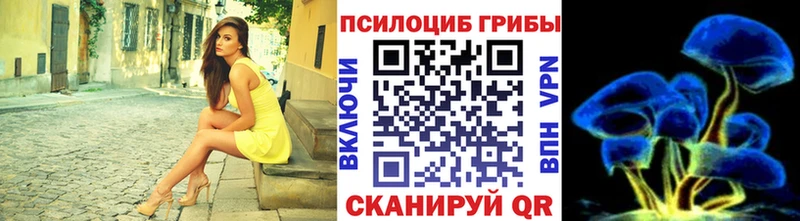 как найти закладки  Ясный  Псилоцибиновые грибы MAGIC MUSHROOMS 